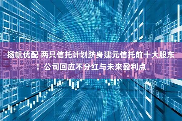 扬帆优配 两只信托计划跻身建元信托前十大股东！公司回应不分红与未来盈利点