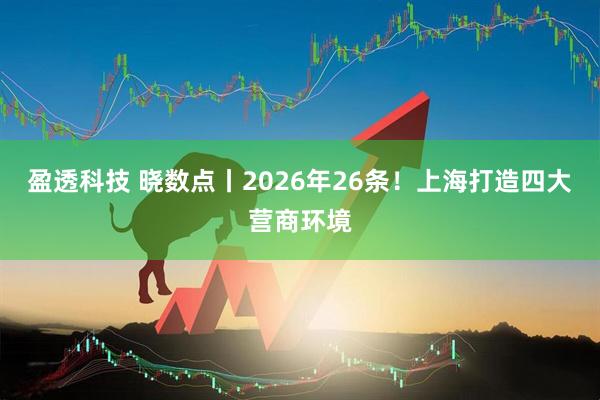盈透科技 晓数点丨2026年26条！上海打造四大营商环境