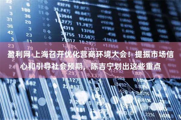盈利网 上海召开优化营商环境大会！提振市场信心和引导社会预期，陈吉宁划出这些重点