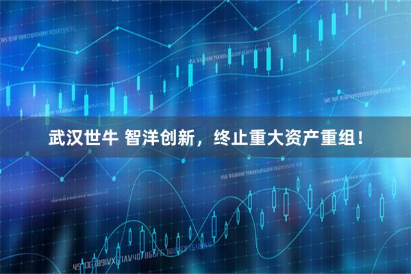武汉世牛 智洋创新，终止重大资产重组！