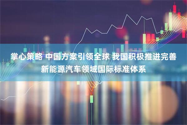 掌心策略 中国方案引领全球 我国积极推进完善新能源汽车领域国际标准体系