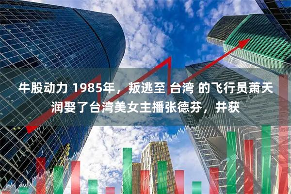 牛股动力 1985年，叛逃至 台湾 的飞行员萧天润娶了台湾美女主播张德芬，并获