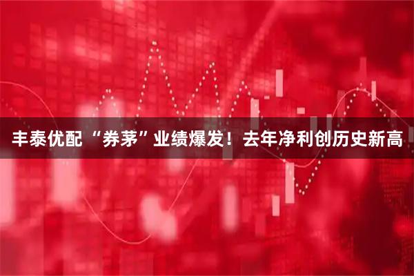 丰泰优配 “券茅”业绩爆发！去年净利创历史新高