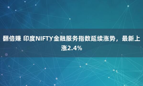 翻倍赚 印度NIFTY金融服务指数延续涨势，最新上涨2.4%