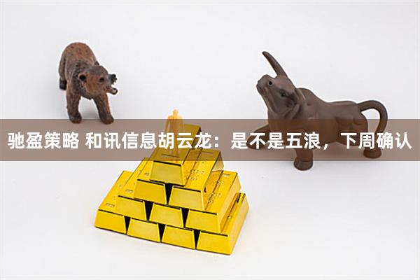 驰盈策略 和讯信息胡云龙：是不是五浪，下周确认