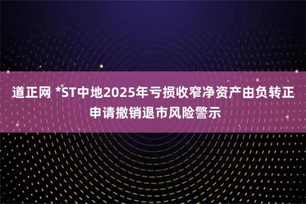 道正网 *ST中地2025年亏损收窄净资产由负转正 申请撤销退市风险警示