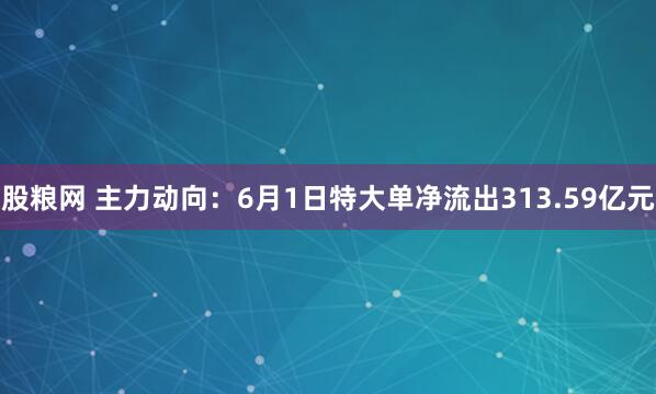 股粮网 主力动向：6月1日特大单净流出313.59亿元