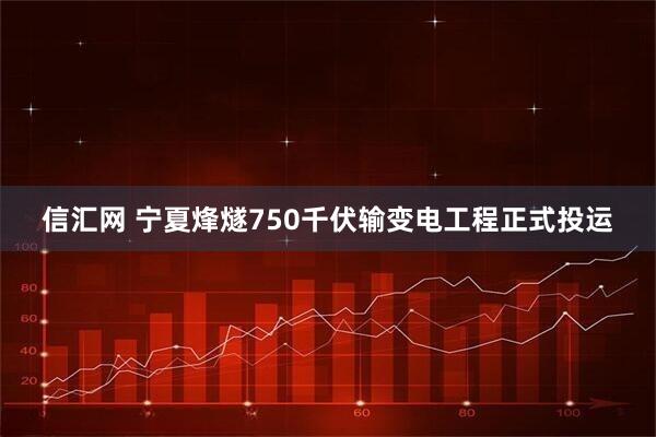 信汇网 宁夏烽燧750千伏输变电工程正式投运