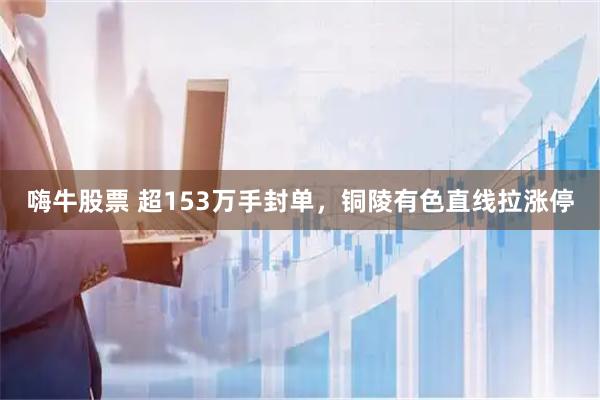 嗨牛股票 超153万手封单，铜陵有色直线拉涨停