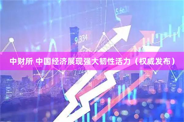 中财所 中国经济展现强大韧性活力（权威发布）