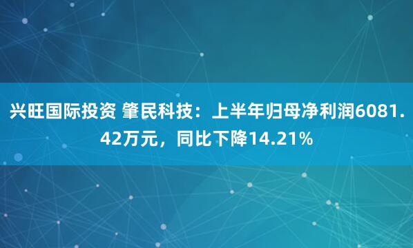 兴旺国际投资 肇民科技：上半年归母净利润6081.42万元，同比下降14.21%
