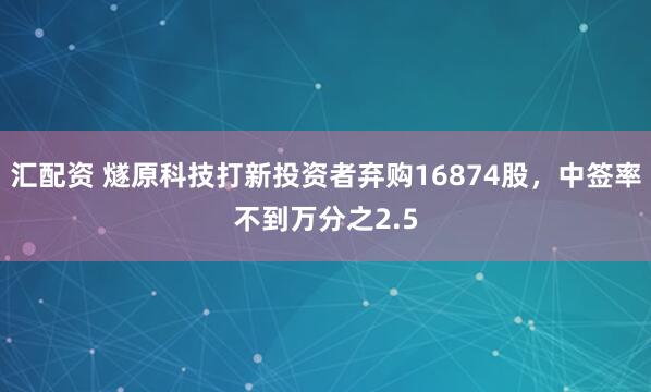 汇配资 燧原科技打新投资者弃购16874股,中签率不到万分之2.5